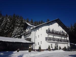 a large white building in the snow with trees at Pensiunea Silvania in Statiunea Borsa +21 photos
