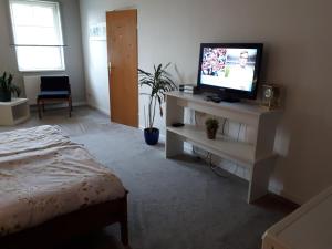 een slaapkamer met een bed en een televisie op een standaard bij Forsthof in Bergen