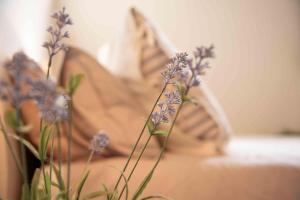 Posezení v ubytování B&B Relais Druda