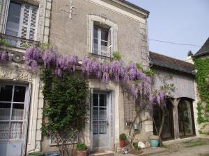 budynek z wisterią na boku w obiekcie Chambre d'hôtes Le Vaujoint w mieście Cheillé