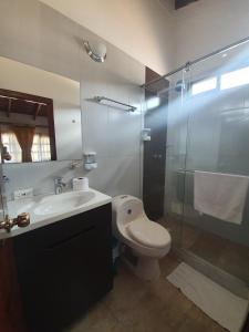 a bathroom with a toilet and a sink and a shower at Hotel Quinta de Santa Ana in Tibasosa