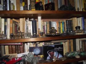 ein Bücherregal voller Bücher in der Unterkunft Chambre d'hôtes Le Vaujoint in Cheillé