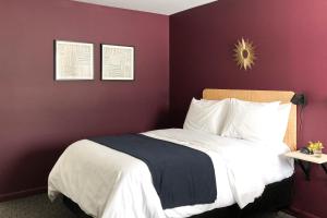 a bedroom with a large bed with purple walls at The Nomad Motel - International Falls, MN - Near Canadian Border in International Falls