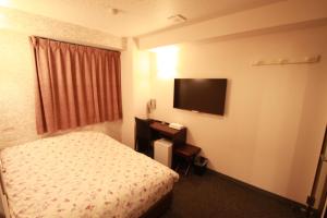 Televisyen dan/atau pusat hiburan di Toyama Town Hotel