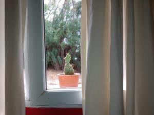 Φωτογραφία από το άλμπουμ του La Antonieta Estancia de Mar σε Dos Pozos