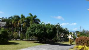 a yard with palm trees and a fence at Manuae House of Birds 1 in Cliftons +2 photos
