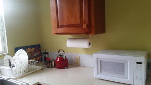 a kitchen counter with a microwave and some dishes at Manuae House of Birds 1 in Cliftons