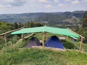 Foto de la galeria de Hostal y Camping Los Girasoles a Salento