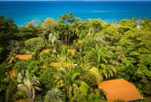 an aerial view of a jungle with palm trees and the ocean at La Ponderosa in Pavones