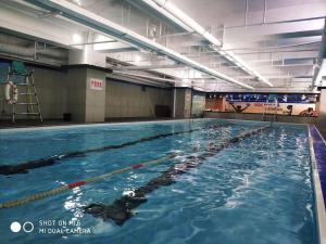una gran piscina de agua con un grupo de nadadores en MiniMax Premier Hotel Shanghai Hongqiao, en Shanghái