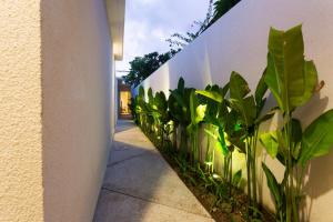 a row of plants next to a white wall at Danka Villa Sanur in Sanur