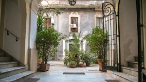 an empty hallway with potted plants in a building at The House in Catania