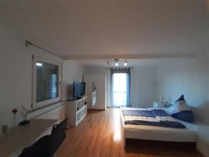 una camera con un letto e una televisione di Heumaden hell und gemütlich eingerichtete 1-Zimmer Wohnung a Lederberg