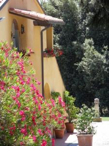 Zahrada ubytování Agriturismo Spazzavento