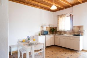 A kitchen or kitchenette at Three Seasons