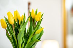 Fotografie z fotogalerie ubytování Hotel Le Premier v Záhřebu