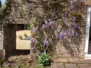 a garden area with a tree and shrubbery at The Coach House in Ross on Wye