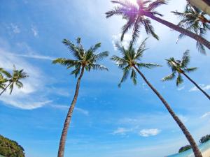 two palm trees on the beach with a blue sky at Mayang Sari Beach Resort in Lagoi