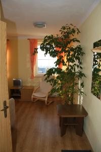 ein Wohnzimmer mit einem Sofa und einer Pflanze in der Unterkunft Apartmány Záhořovo Lože in Horní Planá