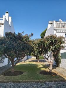 Ogród w obiekcie Benamara Gardens, Apartment with Pool, 100m from Beach near Marbella & Estepona