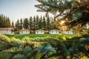 Vonkajšia záhrada v ubytovaní YACHT CLUB WEJSUNY