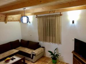 a living room with a couch and a tv at B&B Izvor in Žabljak