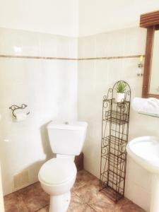 La salle de bains est pourvue de toilettes et d'un lavabo. dans l'établissement Saint Leu - Chambre 3 épis avec PDJ piscine en pleine nature vue mer - Bardzour, à Saint-Leu