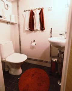 a bathroom with a toilet and a sink at Yllas Chalet VIII 8105 in Ylläs