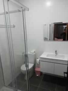 y baño con aseo, lavabo y espejo. en Hospedaria Nunes Pinto, en Termas de Sao Pedro do Sul