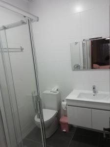 a bathroom with a toilet and a sink at Hospedaria Nunes Pinto in Termas de Sao Pedro do Sul