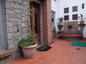 a porch with a pot of flowers on the side of a building at Hostal Bivouac in La Paz