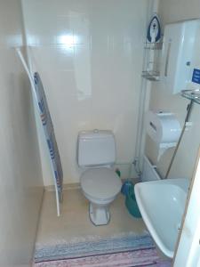 a small bathroom with a toilet and a sink at Matkakoti, Motel Kieppi Kuhmo in Kuhmo