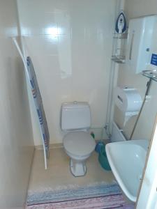 a small bathroom with a toilet and a sink at Matkakoti, Motel Kieppi Kuhmo in Kuhmo +2 photos