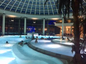 a group of people swimming in a hot tub in a building at Charming Central Apartments in Baden-Baden