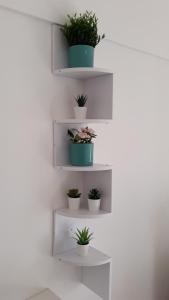 a wall with white shelves with potted plants on them at Emidio House in Termini