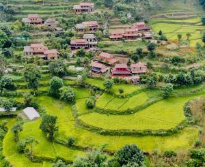 uma vista aérea de uma aldeia num campo em Riepe Village em Ghanpokhara
