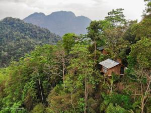 a tree house in the middle of the forest at Tree Houses by Jungle River in Ginigathena