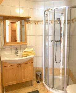 La salle de bains est pourvue d'une douche et d'un lavabo. dans l'établissement Kornbranntgut Hieflau, à Hieflau