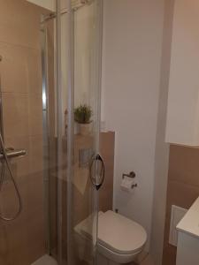a bathroom with a shower with a toilet and a sink at Coser Apartamenty Centrum 1 in Warsaw