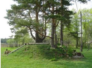 un árbol con una escalera junto a un árbol en Kiige Holiday Park, en Linnamäe