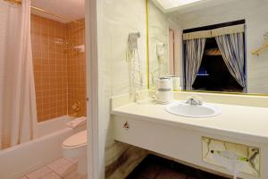 a bathroom with a sink and a toilet and a mirror at Economy Inn & Suites in Denton
