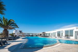 a resort swimming pool with chairs and a palm tree at Giannoulaki Hotel in M&yacute;konos City