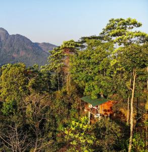 GinigathenaにあるTree Houses by Jungle Riverの森の中の家
