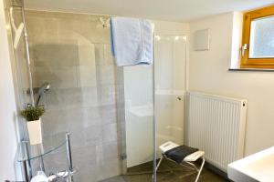 La salle de bains est pourvue d'une douche avec une porte en verre. dans l'établissement Ferienwohnung #4 mit Terrasse in zentraler dennoch ruhiger Lage - Stadtbus vor der Tür!, à Lindau