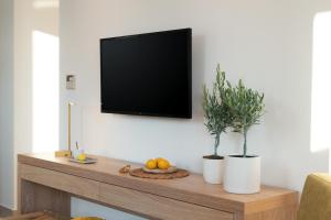 TV a/nebo společenská místnost v ubytování Cavo Delea Villas & Suites