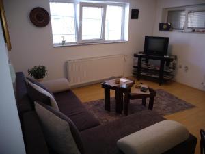 TV a/nebo společenská místnost v ubytování Apartment Vojinovic