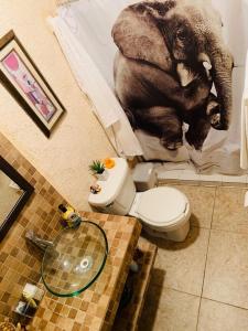 Fotografie z fotogalerie ubytování Franks house "Shared House" v destinaci Cancún