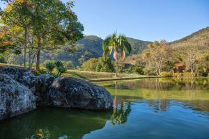 un estanque con rocas y palmeras en un parque en Pousada Parador Santarém, en Itaipava