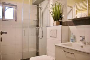 La salle de bains est pourvue d'une douche, de toilettes et d'un lavabo. dans l'établissement Herzog Wolfgang Studios- Zentral, Modern, Freundlich, à Zweibrücken