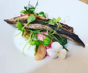 Food at or somewhere near the inn 